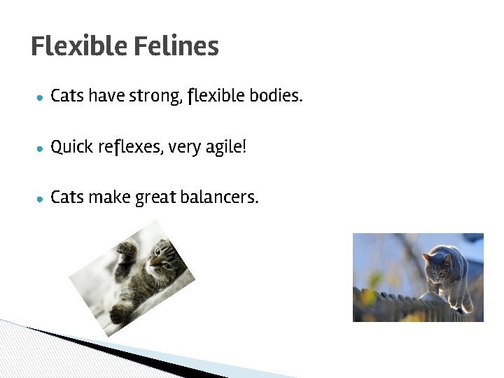 Flexible Felines ● Cats have strong, flexible bodies. ● Quick reflexes, very agile! ●