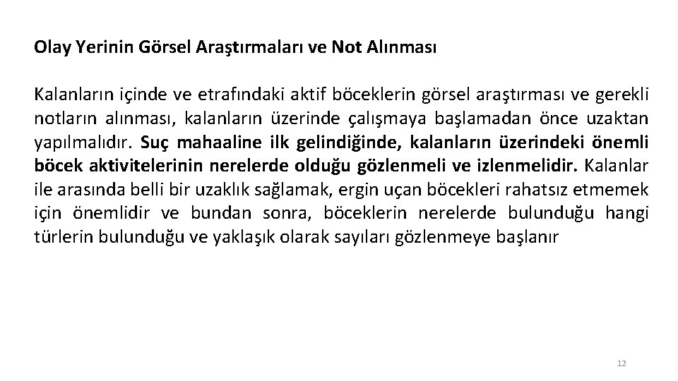 Olay Yerinin Görsel Araştırmaları ve Not Alınması Kalanların içinde ve etrafındaki aktif böceklerin görsel