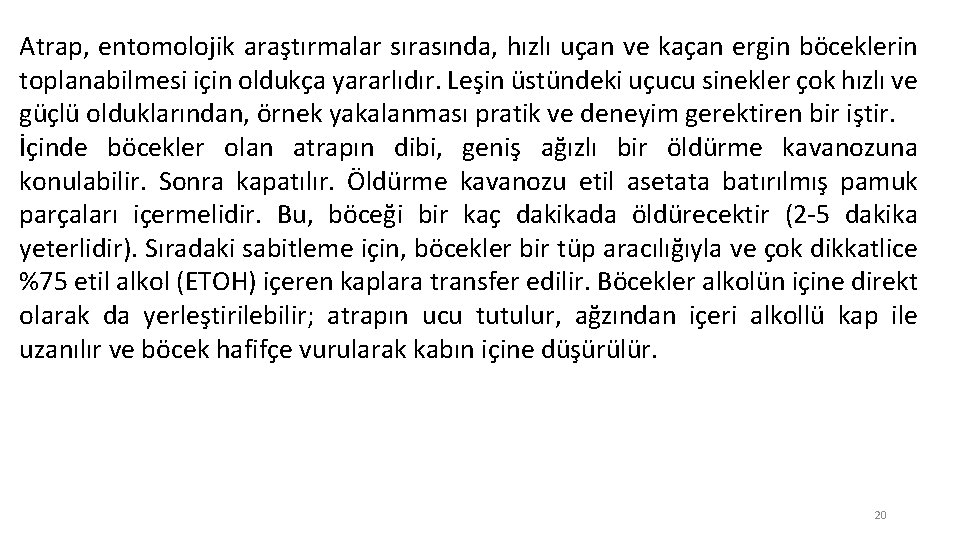 Atrap, entomolojik araştırmalar sırasında, hızlı uçan ve kaçan ergin böceklerin toplanabilmesi için oldukça yararlıdır.