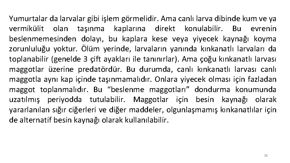 Yumurtalar da larvalar gibi işlem görmelidir. Ama canlı larva dibinde kum ve ya vermikülit