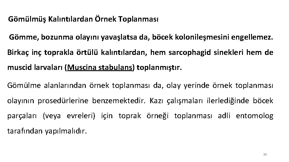 Gömülmüş Kalıntılardan Örnek Toplanması Gömme, bozunma olayını yavaşlatsa da, böcek kolonileşmesini engellemez. Birkaç inç