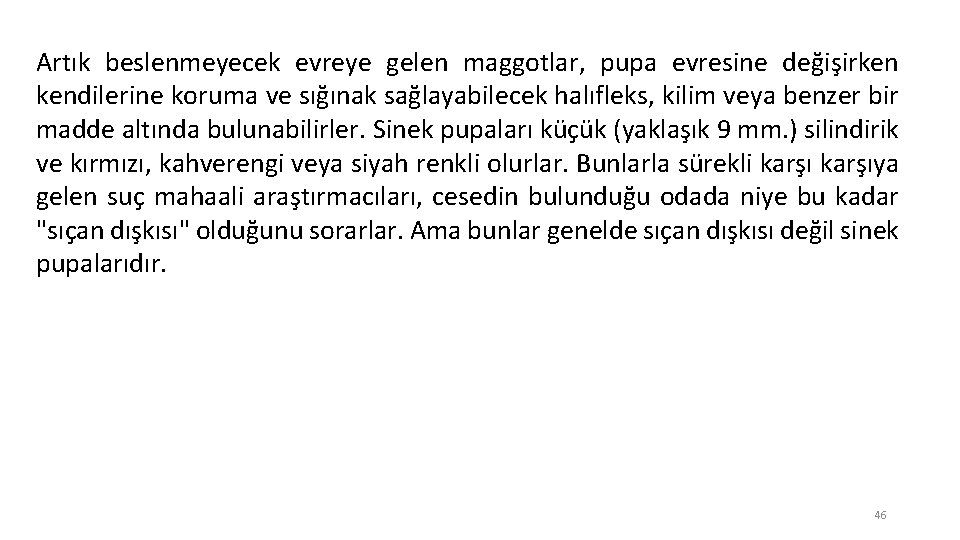 Artık beslenmeyecek evreye gelen maggotlar, pupa evresine değişirken kendilerine koruma ve sığınak sağlayabilecek halıfleks,