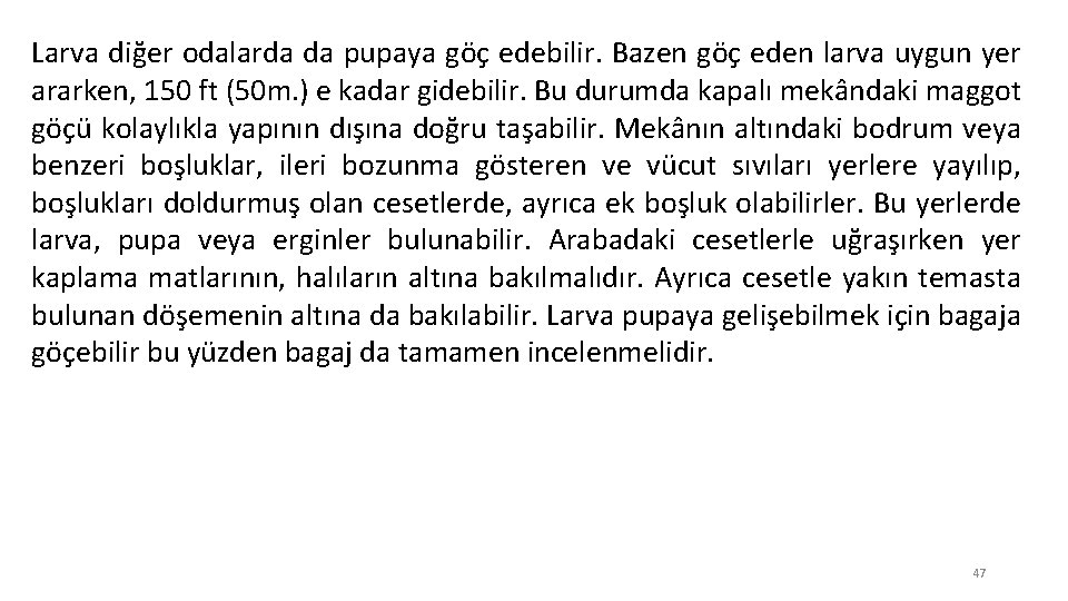 Larva diğer odalarda da pupaya göç edebilir. Bazen göç eden larva uygun yer ararken,