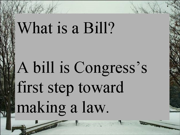 What is a Bill? A bill is Congress’s first step toward making a law.