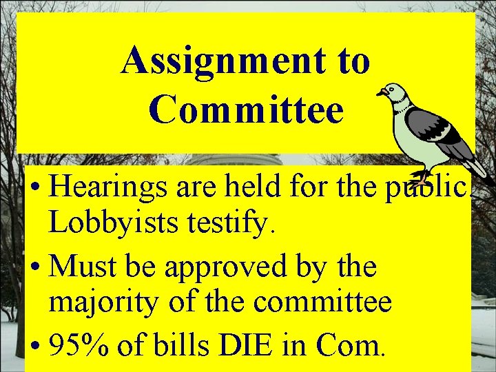 Assignment to Committee • Hearings are held for the public. Lobbyists testify. • Must