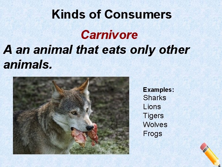 Kinds of Consumers Carnivore A an animal that eats only other animals. Examples: Sharks