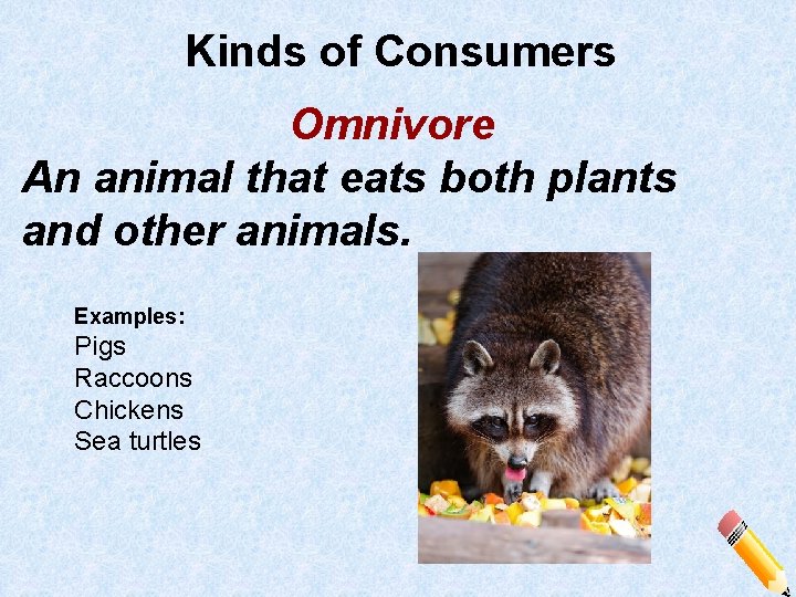 Kinds of Consumers Omnivore An animal that eats both plants and other animals. Examples: