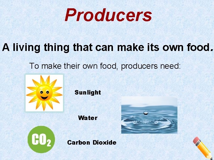 Producers A living that can make its own food. To make their own food,