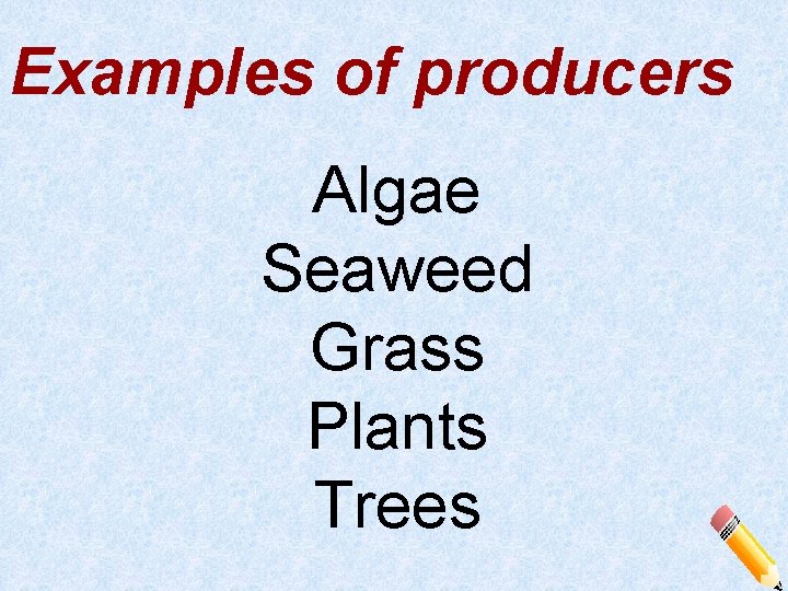 Examples of producers Algae Seaweed Grass Plants Trees 