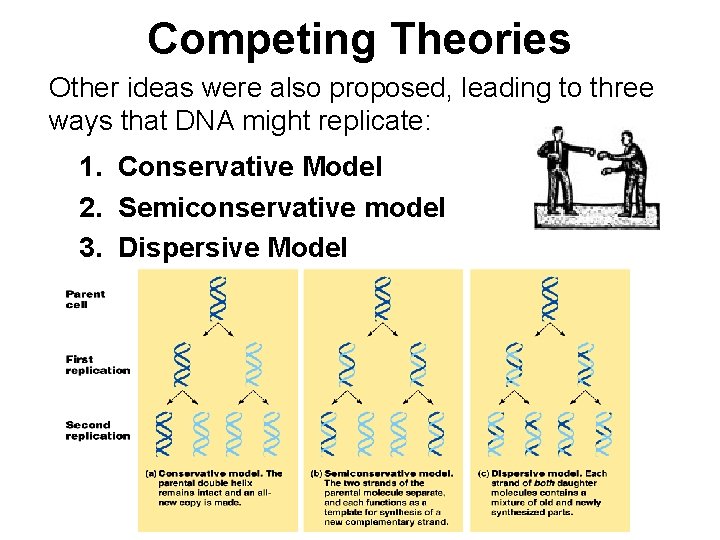 Competing Theories Other ideas were also proposed, leading to three ways that DNA might