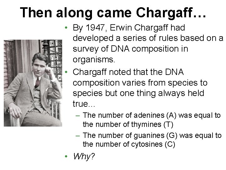 Then along came Chargaff… • By 1947, Erwin Chargaff had developed a series of