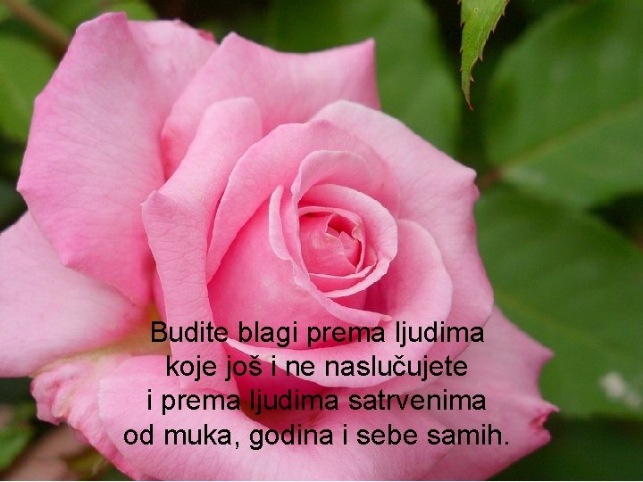 Budite blagi prema ljudima koje još i ne naslučujete i prema ljudima satrvenima od