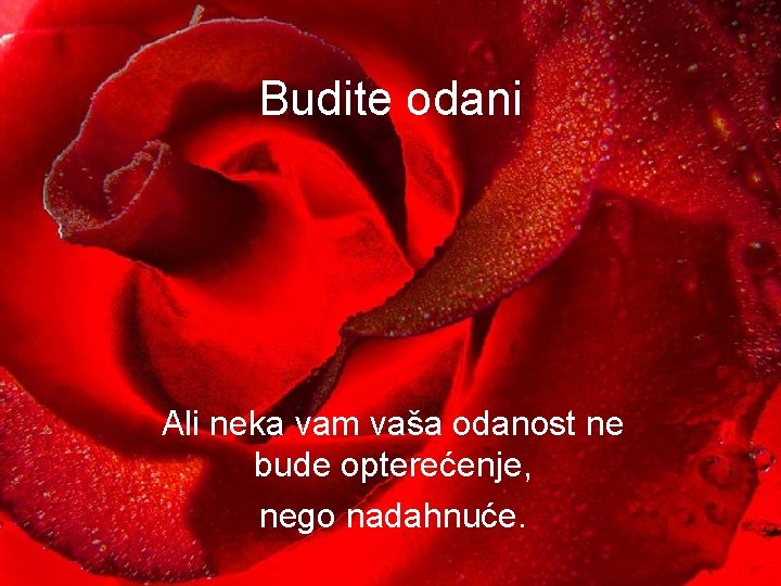 Budite odani Ali neka vam vaša odanost ne bude opterećenje, nego nadahnuće. 