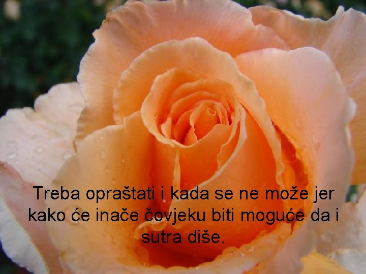 Treba opraštati i kada se ne može jer kako će inače čovjeku biti moguće