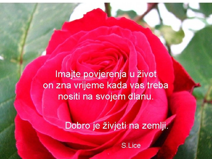 Imajte povjerenja u život on zna vrijeme kada vas treba nositi na svojem dlanu.