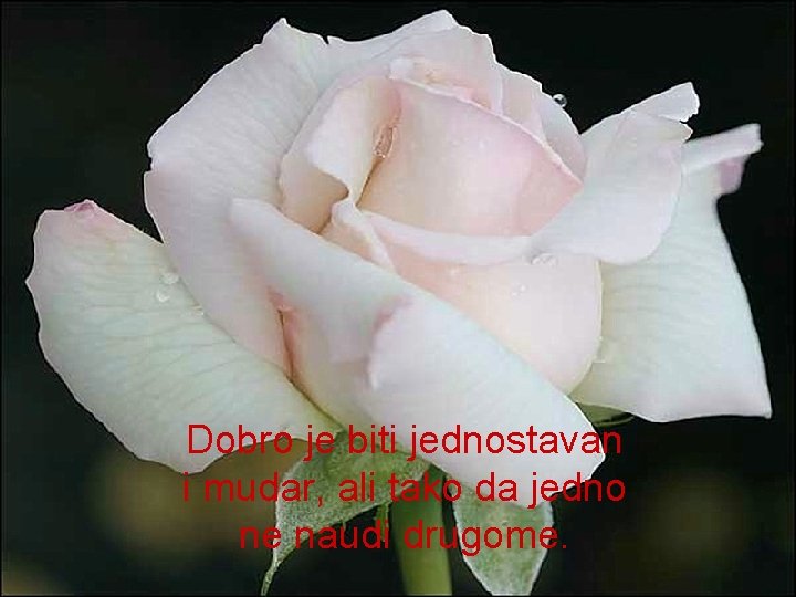 Dobro je biti jednostavan i mudar, ali tako da jedno ne naudi drugome. 