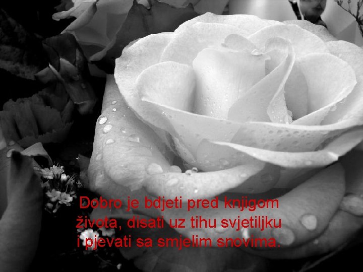 Dobro je bdjeti pred knjigom života, disati uz tihu svjetiljku i pjevati sa smjelim