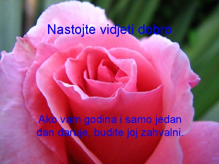 Nastojte vidjeti dobro Ako vam godina i samo jedan daruje, budite joj zahvalni. 