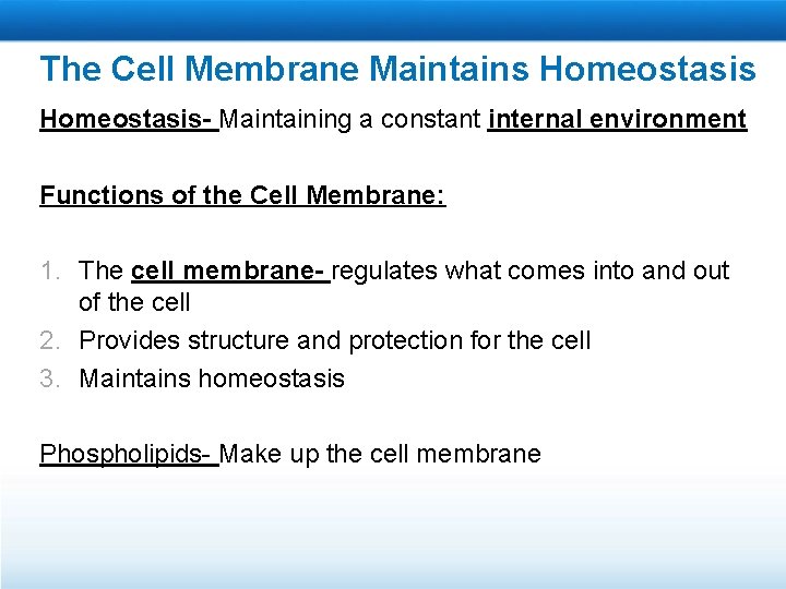 The Cell Membrane Maintains Homeostasis- Maintaining a constant internal environment Functions of the Cell