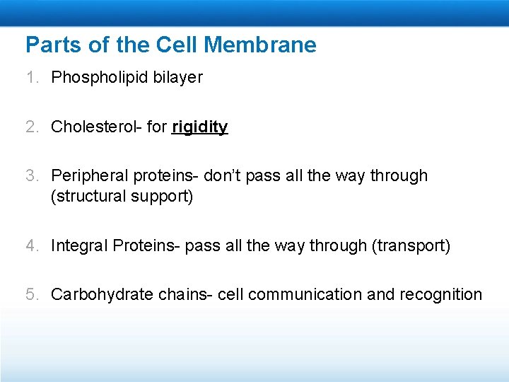 Parts of the Cell Membrane 1. Phospholipid bilayer 2. Cholesterol- for rigidity 3. Peripheral