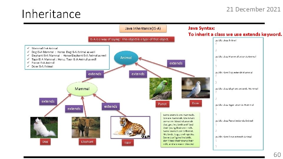 Inheritance 21 December 2021 Java Syntax: To inherit a class we use extends keyword.