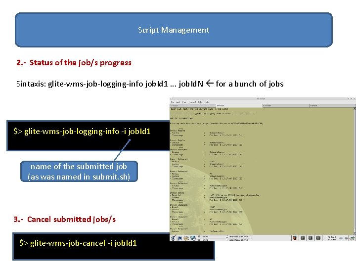 Script Management 2. - Status of the job/s progress Sintaxis: glite-wms-job-logging-info job. Id 1.