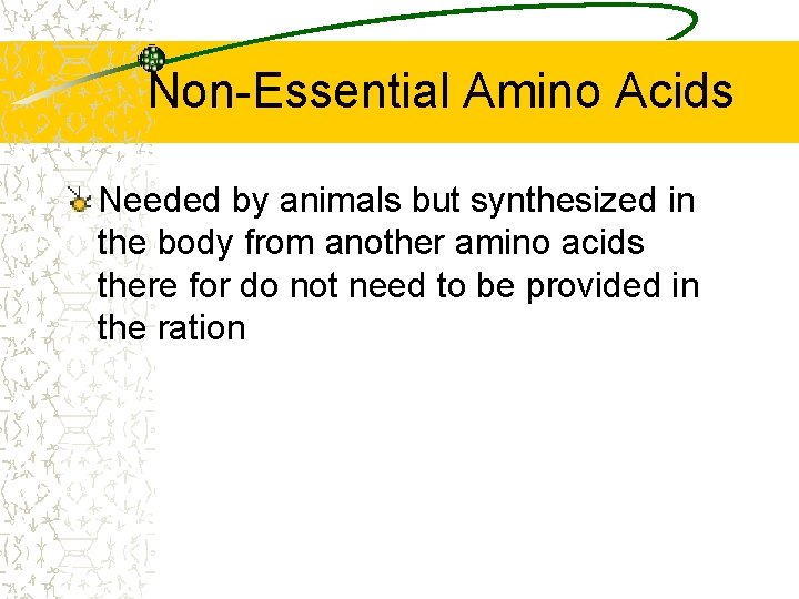 Non-Essential Amino Acids Needed by animals but synthesized in the body from another amino