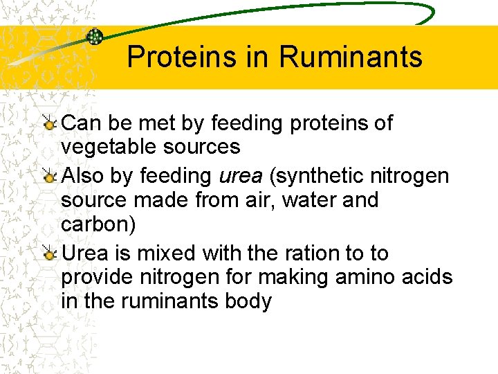 Proteins in Ruminants Can be met by feeding proteins of vegetable sources Also by