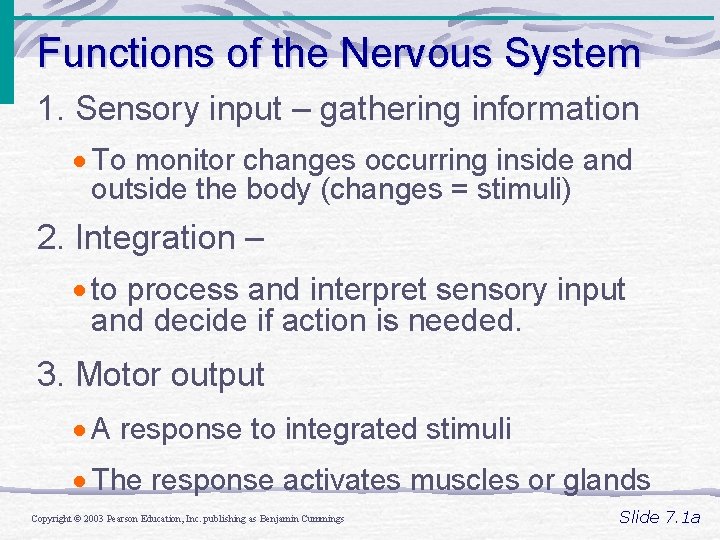 Functions of the Nervous System 1. Sensory input – gathering information · To monitor Functions of the Nervous System 1. Sensory input – gathering information · To monitor