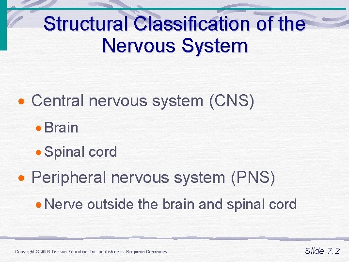 Structural Classification of the Nervous System · Central nervous system (CNS) · Brain · Structural Classification of the Nervous System · Central nervous system (CNS) · Brain ·