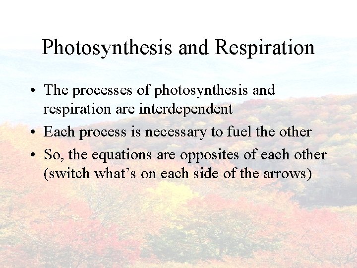 Photosynthesis and Respiration • The processes of photosynthesis and respiration are interdependent • Each