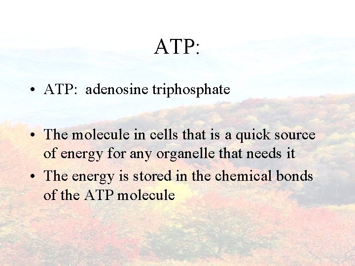ATP: • ATP: adenosine triphosphate • The molecule in cells that is a quick