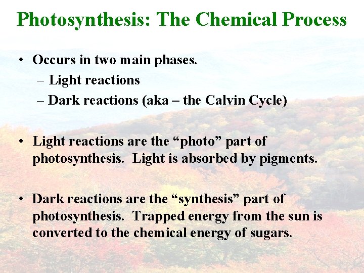 Photosynthesis: The Chemical Process • Occurs in two main phases. – Light reactions –