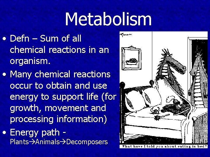 Metabolism • Defn – Sum of all chemical reactions in an organism. • Many