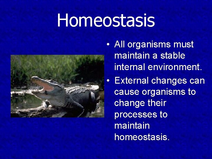 Homeostasis • All organisms must maintain a stable internal environment. • External changes can