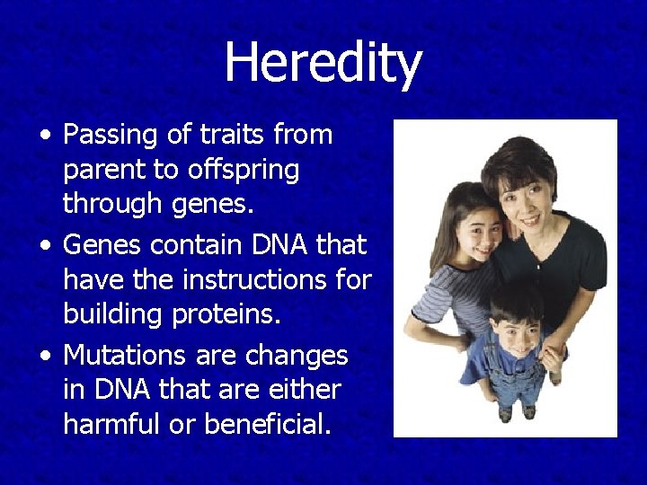 Heredity • Passing of traits from parent to offspring through genes. • Genes contain
