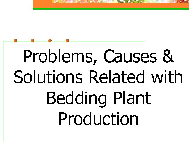 Problems, Causes & Solutions Related with Bedding Plant Production 