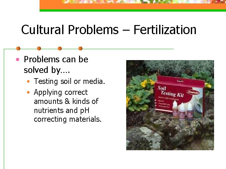 Cultural Problems – Fertilization • Problems can be solved by…. • Testing soil or