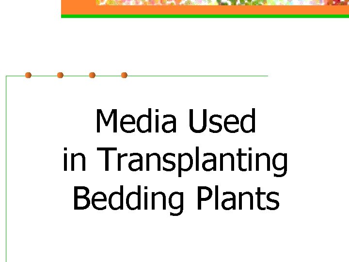 Media Used in Transplanting Bedding Plants 