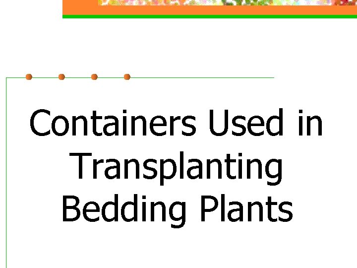 Containers Used in Transplanting Bedding Plants 