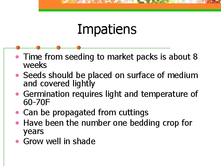 Impatiens • Time from seeding to market packs is about 8 weeks • Seeds