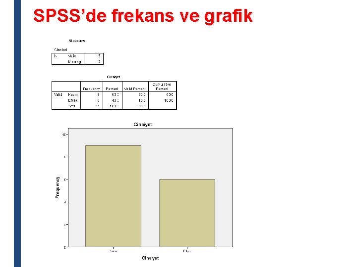 SPSS’de frekans ve grafik 