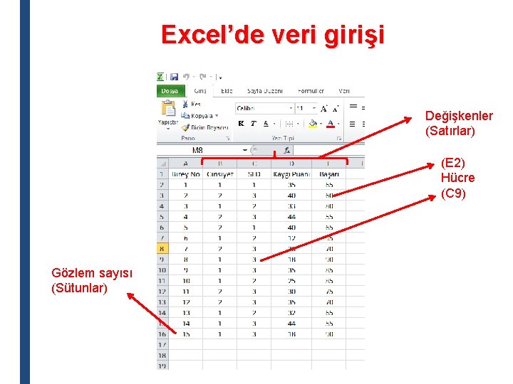 Excel’de veri girişi Değişkenler (Satırlar) (E 2) Hücre (C 9) Gözlem sayısı (Sütunlar) 