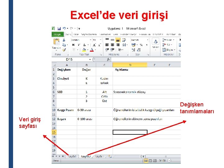 Excel’de veri girişi Değişken tanımlamaları Veri giriş sayfası 
