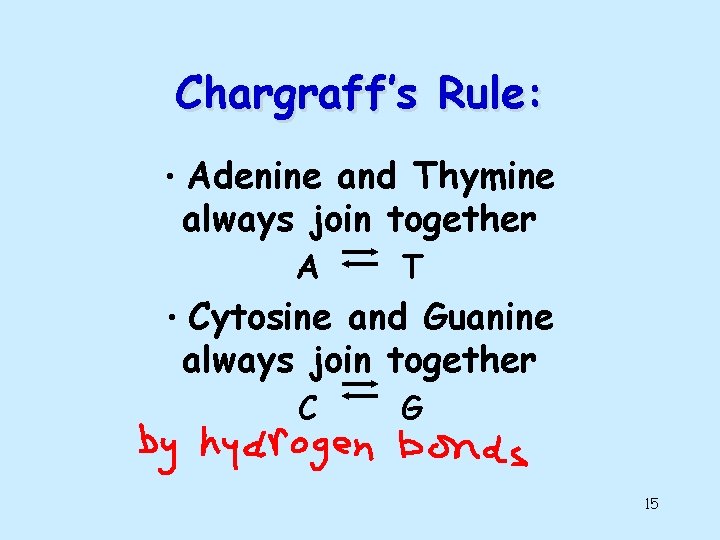 Chargraff’s Rule: • Adenine and Thymine always join together A T • Cytosine and