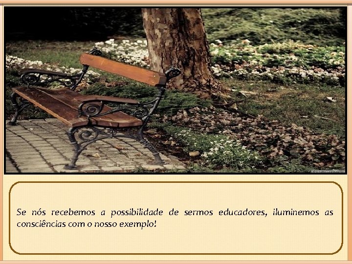 Se nós recebemos a possibilidade de sermos educadores, iluminemos as consciências com o nosso