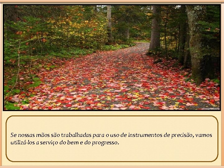 Se nossas mãos são trabalhadas para o uso de instrumentos de precisão, vamos utilizá-los