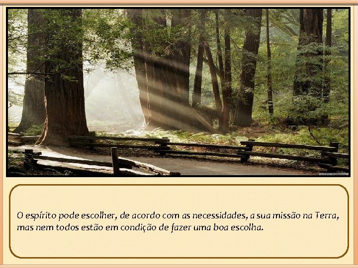 O espírito pode escolher, de acordo com as necessidades, a sua missão na Terra,