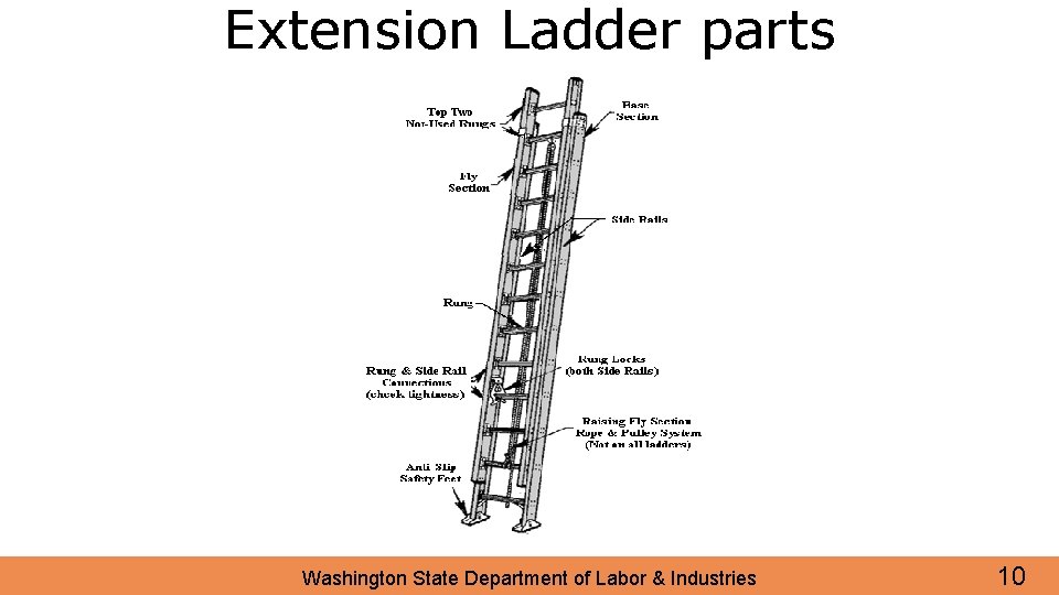 Extension Ladder parts Washington State Department of Labor & Industries 10 