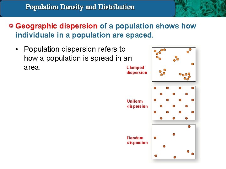 Population Density and Distribution 14. 3 Population Density And Distribution Geographic dispersion of a